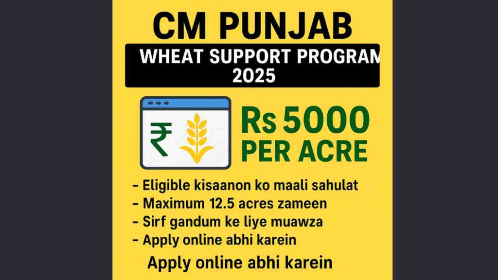 CM Punjab Wheat Support Program 2025