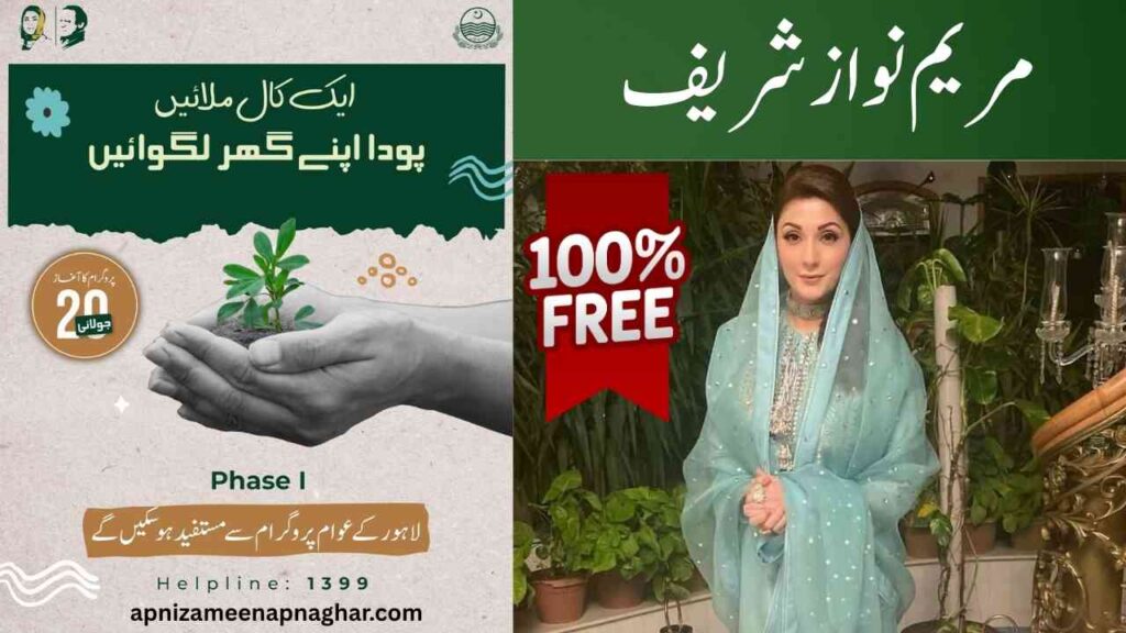 Free plants in Lahore