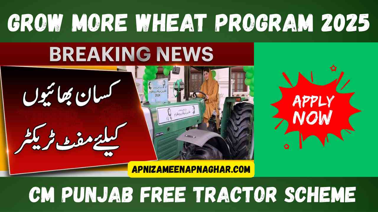 Grow More Wheat Program 2025 – CM Punjab Free Tractor Scheme