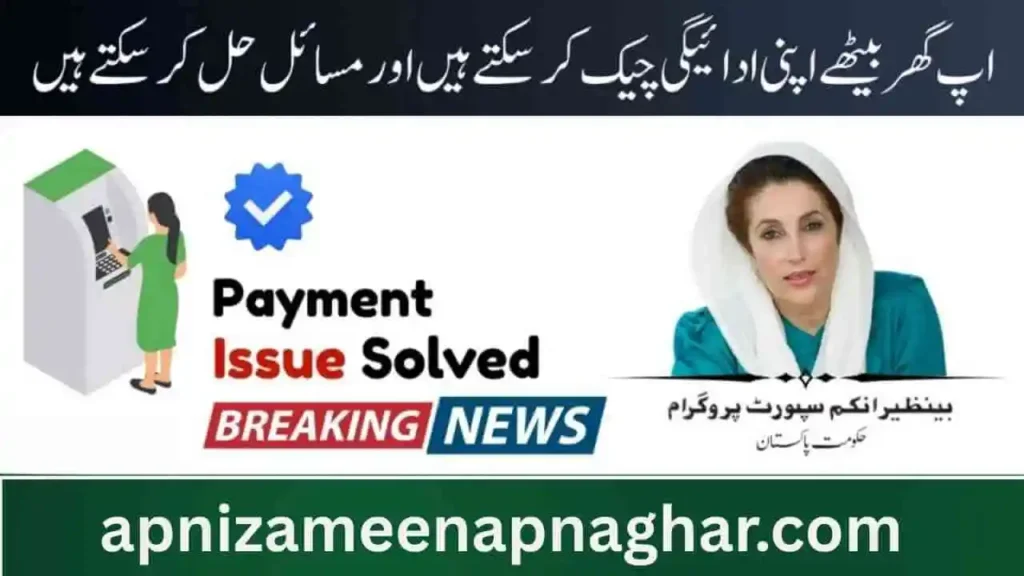 BISP 8171 Payment Problems in 2025 Fresh Updates