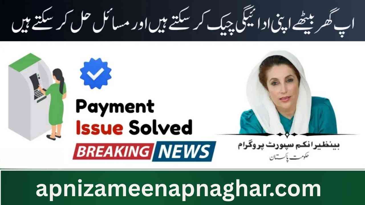 BISP 8171 Payment Problems in 2025 Fresh Updates & Solutions-Complete Guide