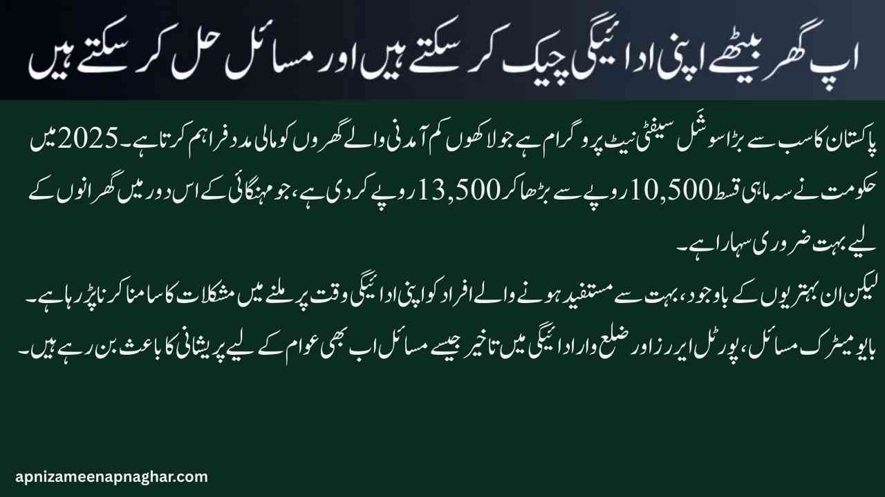 BISP 8171 Payment Problems in 2025 Fresh Updates