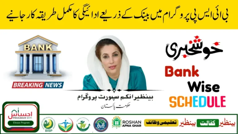BISP 8171 Program 2025