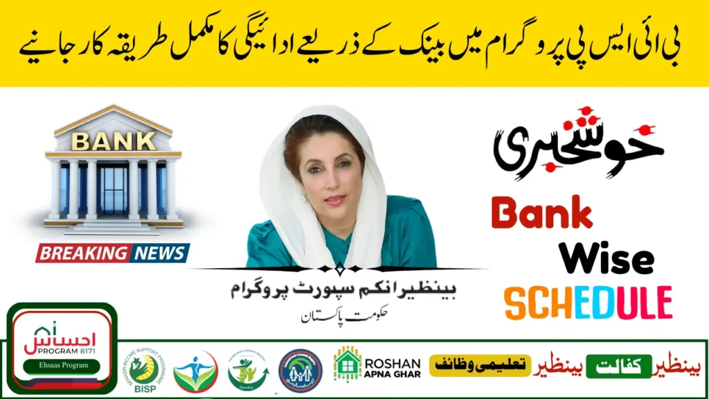 BISP 8171 Program 2025