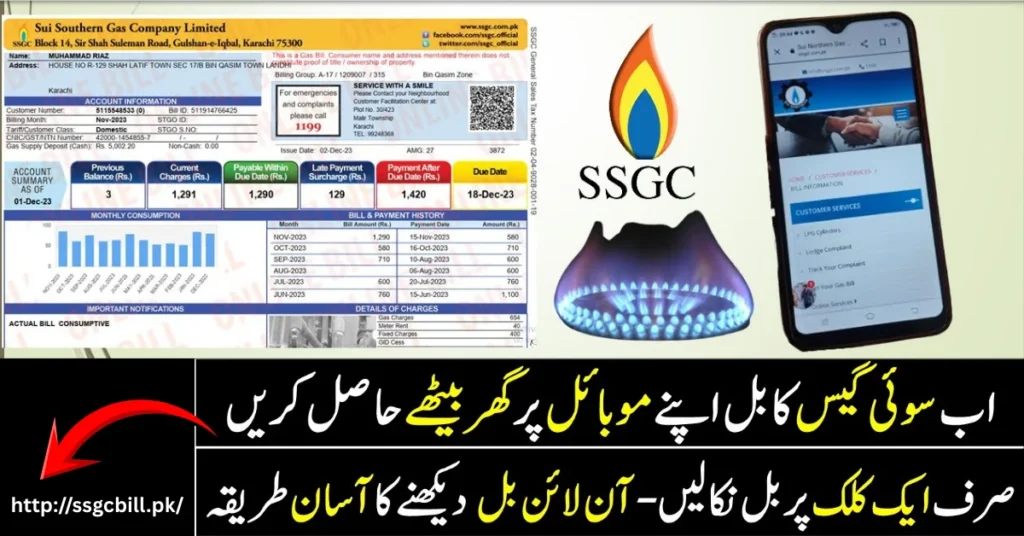 “SSGC duplicate bill check and download page showing customer number box and PDF download option.”